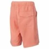 Ron Jon Kids Melon Ledge Swim Volley -Ron Jon Surf Shop Sales d800x800 10540147606 melon ron jon boys ledge volley back