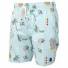 RVCA Ron Jon Luke P Volley -Ron Jon Surf Shop Sales d800x800 20350012100D multi rvca ron jon luke p elastic short front 2